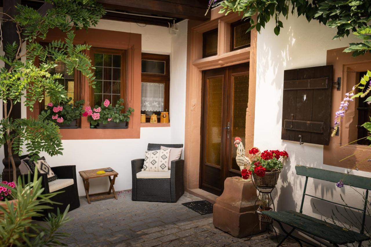 Maison Dietenbeck 维桑堡 外观 照片